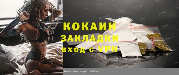 Альфа ПВП Богородск