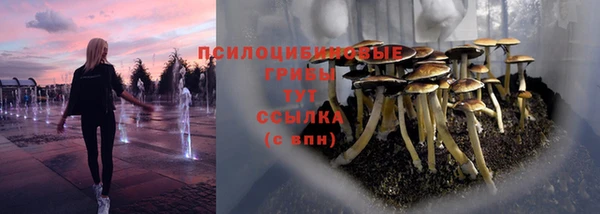 Альфа ПВП Богородск