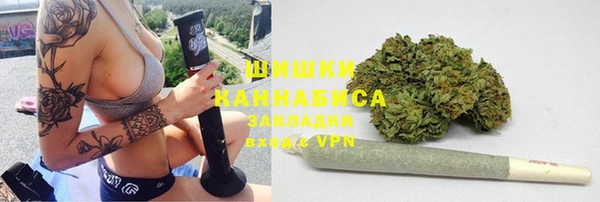 Альфа ПВП Богородск