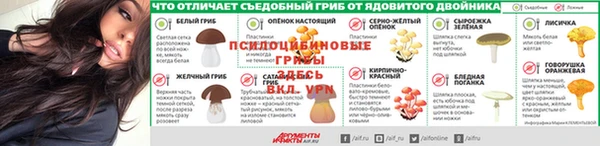 гашишное масло Богданович