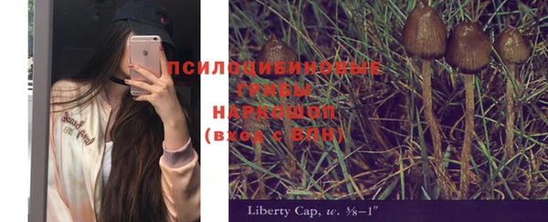 a pvp Бородино