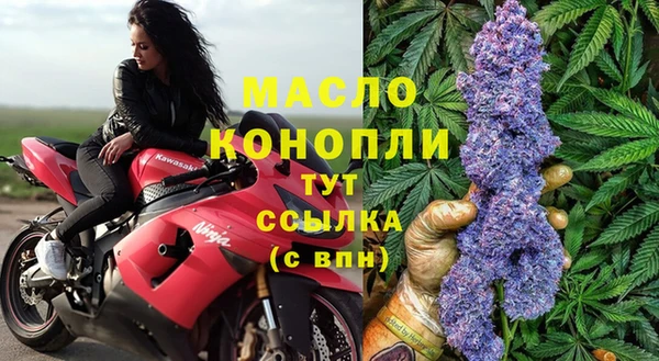a pvp Бородино