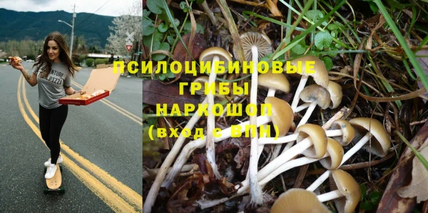 прущий лед Бронницы
