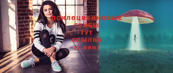 прущий лед Бронницы